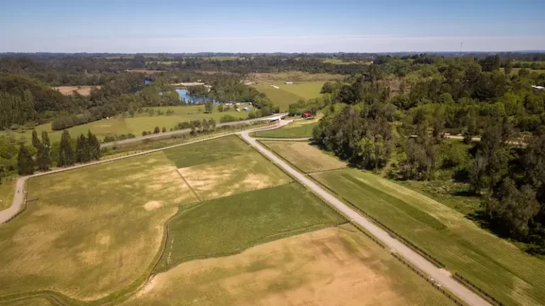 Vista satelital de la ubicación estratégica del proyecto junto al Río Maullín