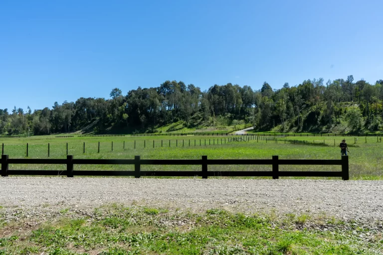 Caminos interiores de ripio compactado y cercos tipo tranquera en las parcelas